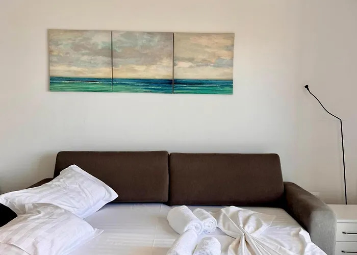 Jan's ساراندا